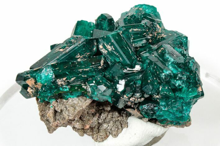 Lustrous Dioptase Crystal Cluster - Congo #303825